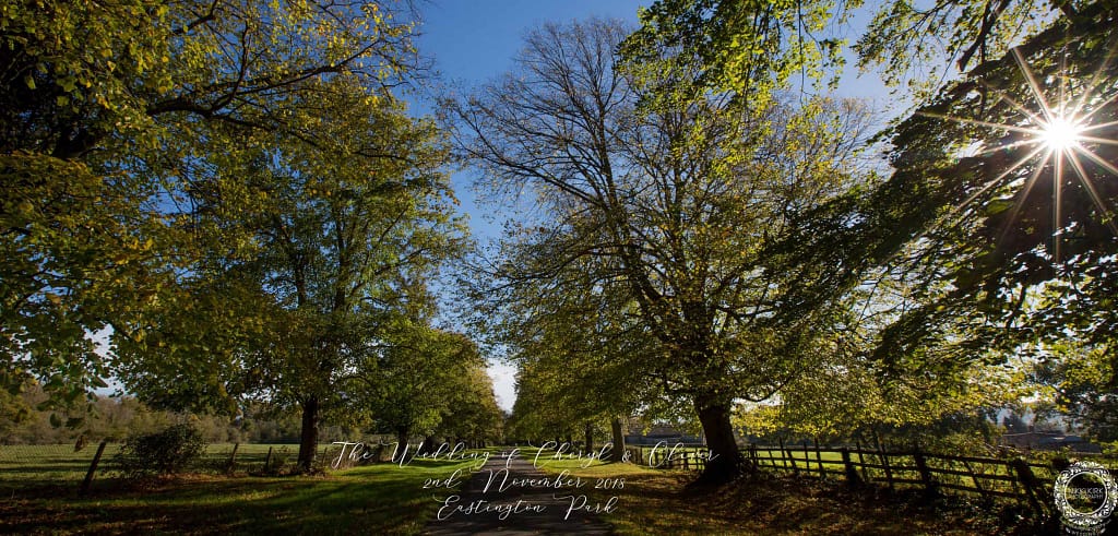 Eastington Park Autumn Wedding