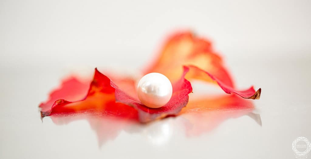 Nikki-Kirk-wedding-photography-Manor-by-the-Lake-Cheltenham