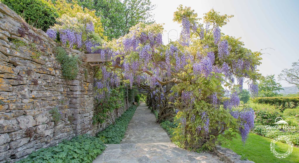 Gloucestershire and Cotswolds Wedding Photography