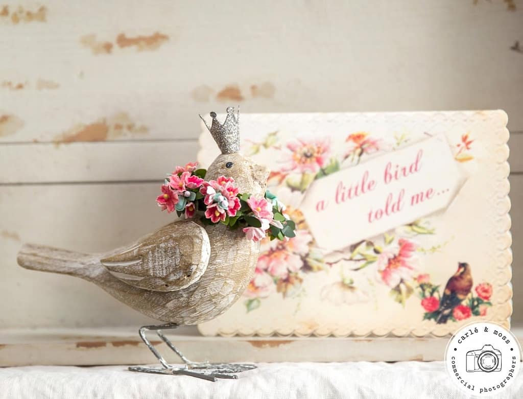 Lexi Loves Greetings Card Collection photographed by Carle & Moss