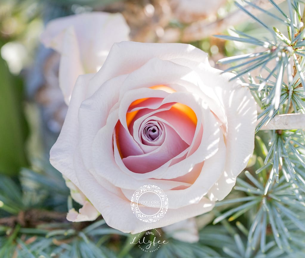 Winter wedding ideas
