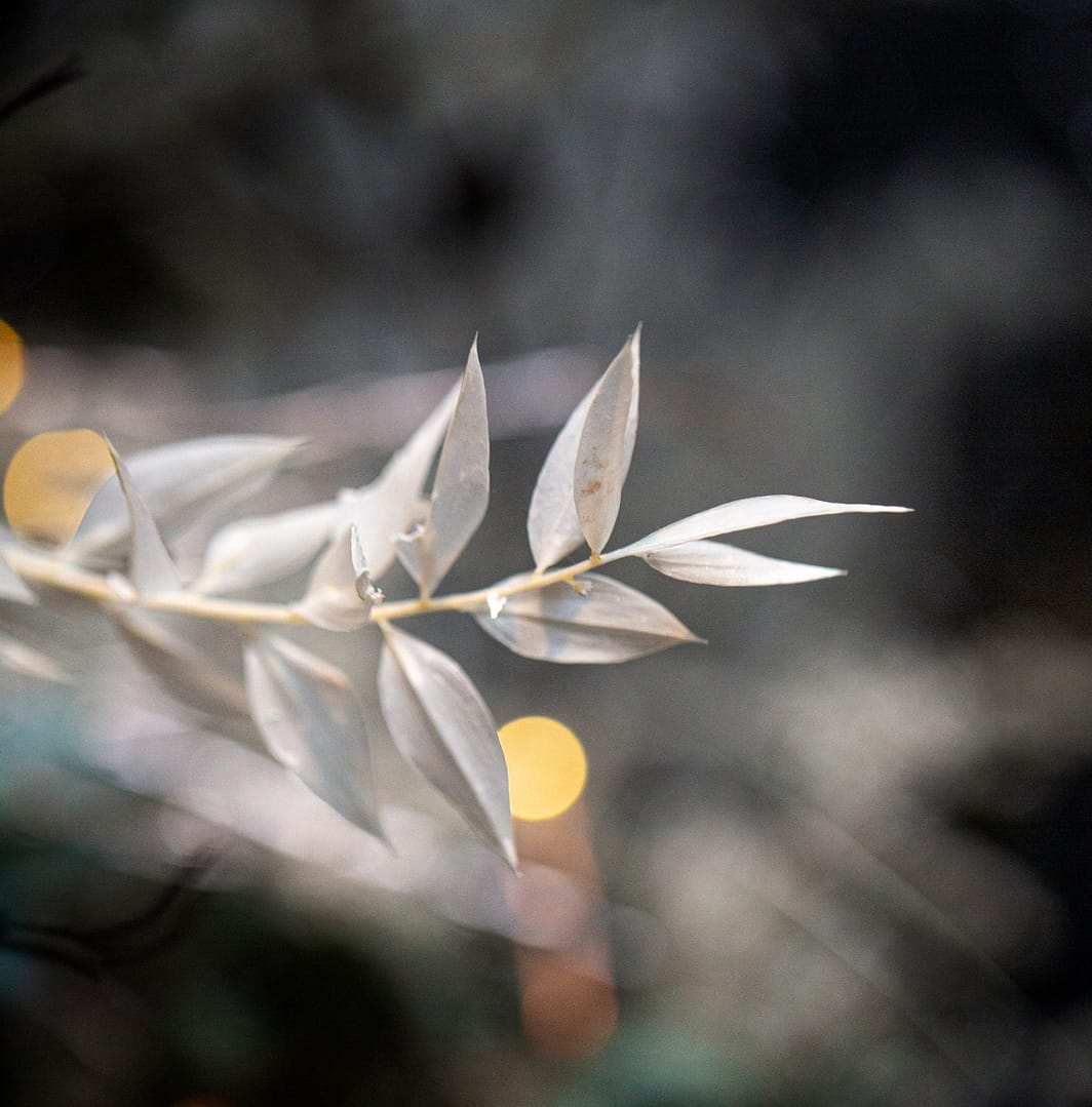 Brand Photographer Nikki Kirk in Gloucestershire