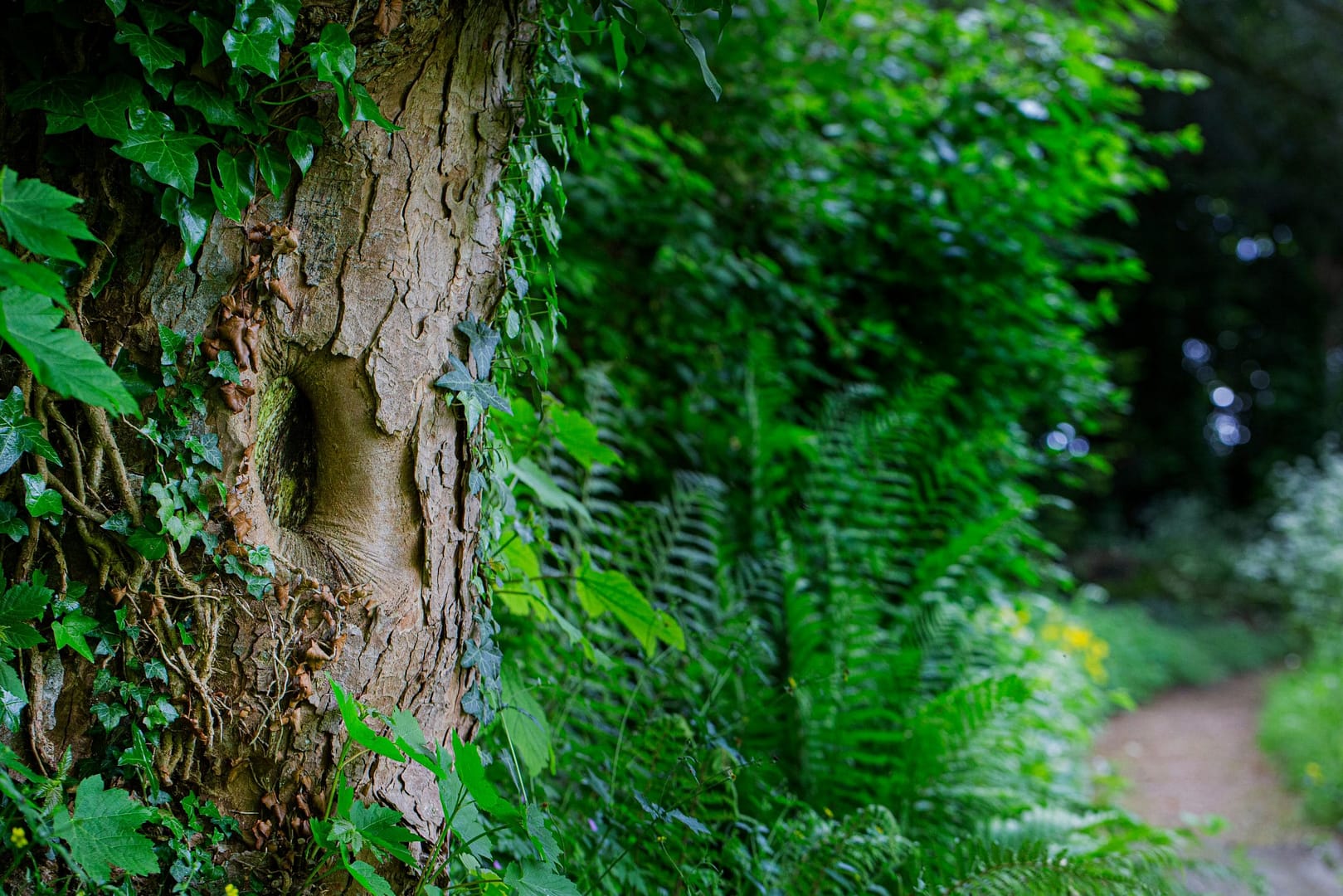 Cotswold Gardens Photographer