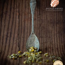 Bronze-Bar-Guild-of-Photographers-commercial-photography-carle-and-moss