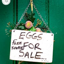 Eggs-for-sale