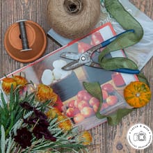 Commercial Business and Lifestyle Photographer