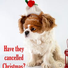 Commercial Business and Lifestyle Photographer