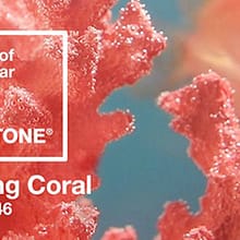Pantone-Colour-2019-Living-Coral