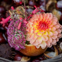 Nikki Kirk Photography Autumn wedding style