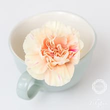 Spring-wedding-ideas-Nikki-Kirk-wedding-photography