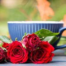Autumn-wedding-ideas-documentary-wedding-photographer-Nikki-Kirk-Photography-Gloucestershire