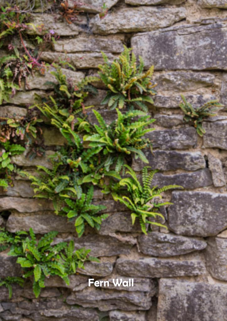 A1 Photography Backdrops