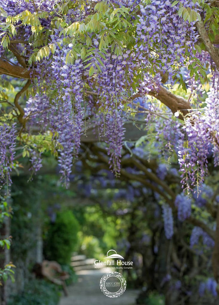 Gloucestershire and Cotswolds Wedding Photography