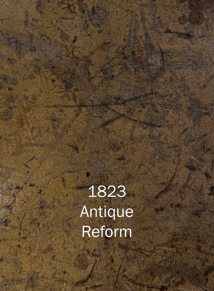 Photography Backdrop