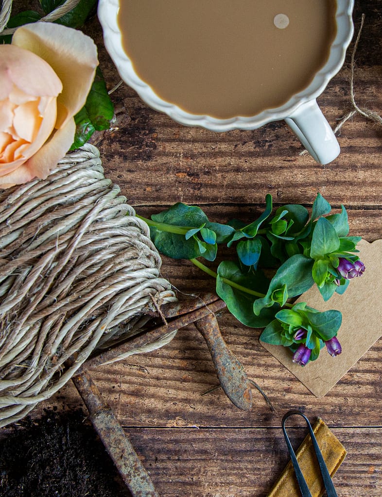 Brand Photographer Nikki Kirk in Gloucestershire