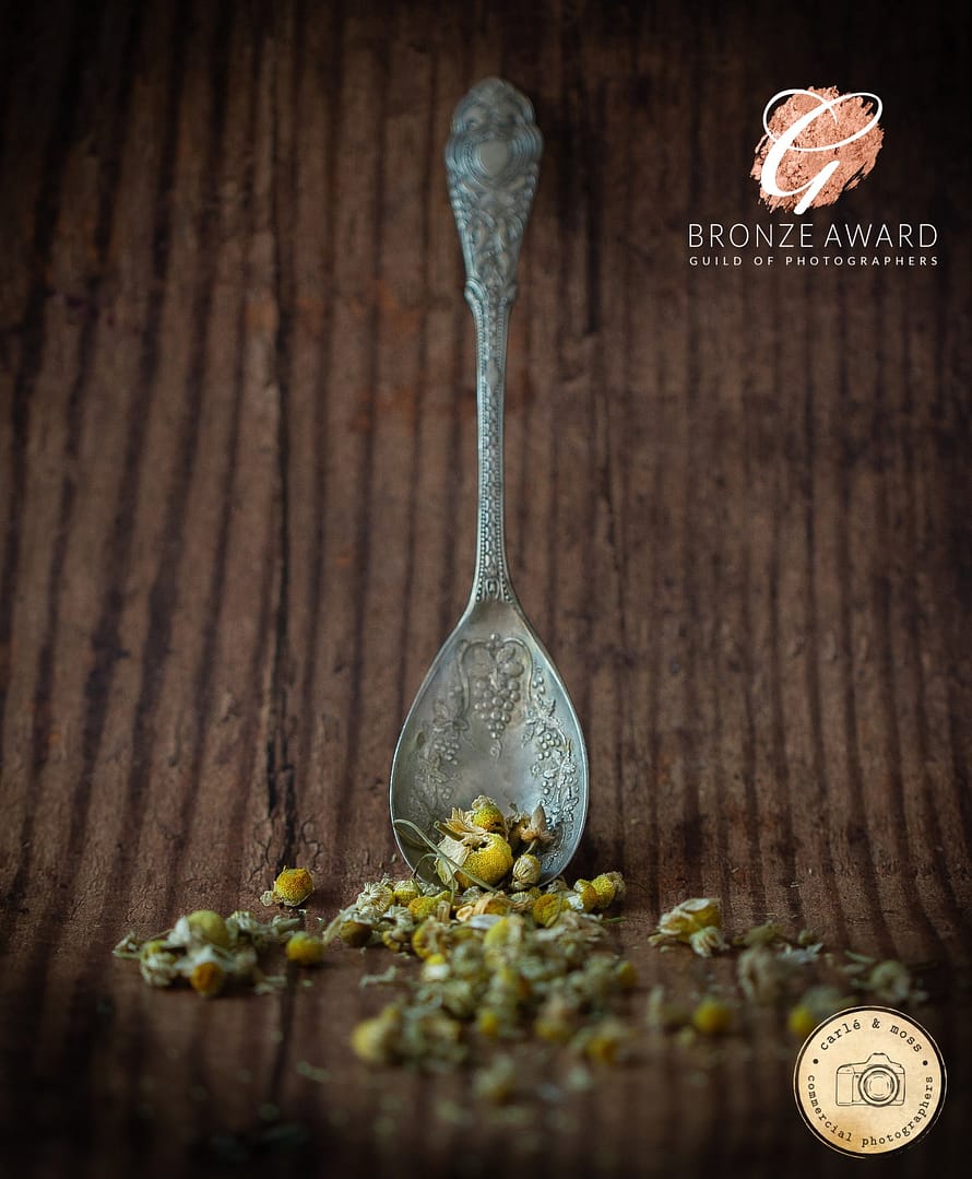 Bronze-Bar-Guild-of-Photographers-commercial-photography-carle-and-moss