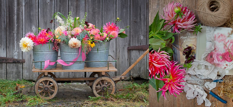 Commercial Business and Lifestyle Photographer