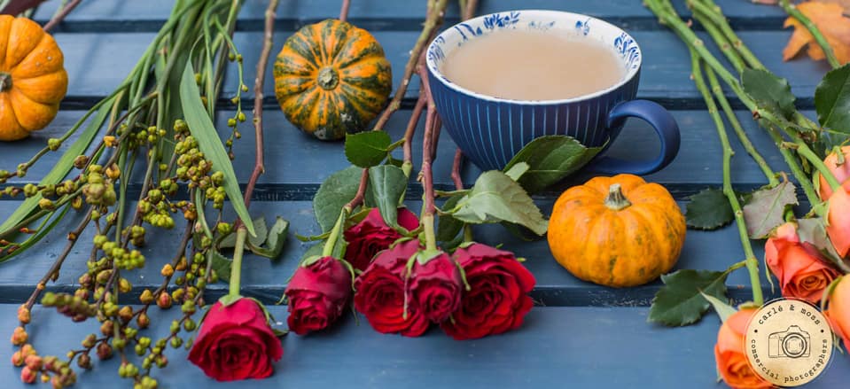 Nikki Kirk brand photographer autumn styling