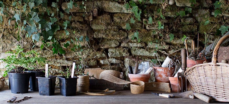 Brand Photographer Nikki Kirk