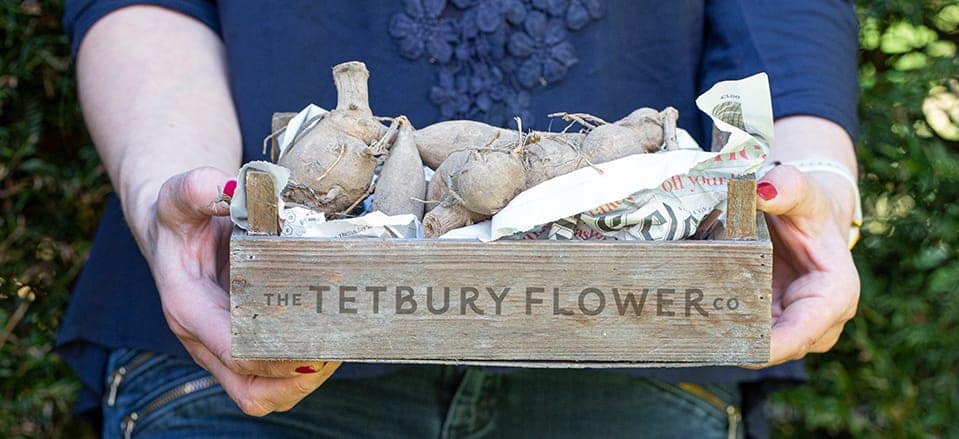 Brand Photographer Nikki Kirk