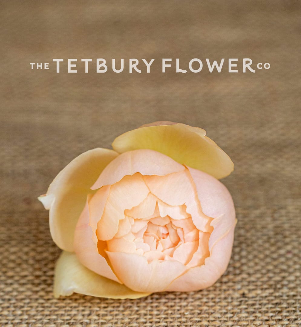 The Tetbury Flower Company Wedding Flower Photography