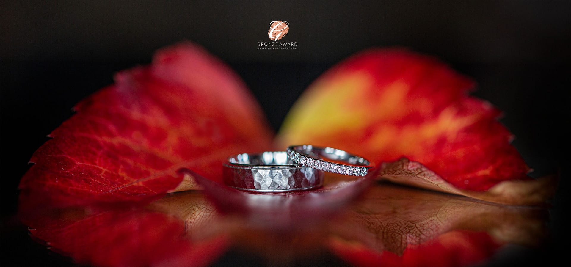 Gloucestershire and Cotswolds Wedding Photography