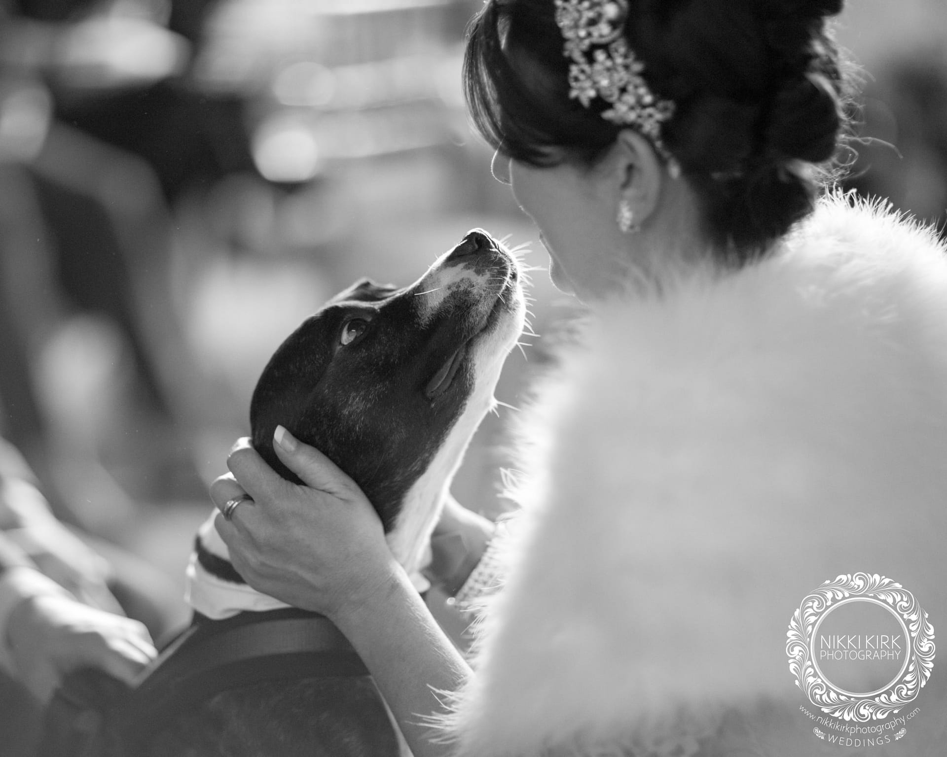 Priors-Tithe-Barn-wedding-photography-dogs-ring-bearer-at-wedding